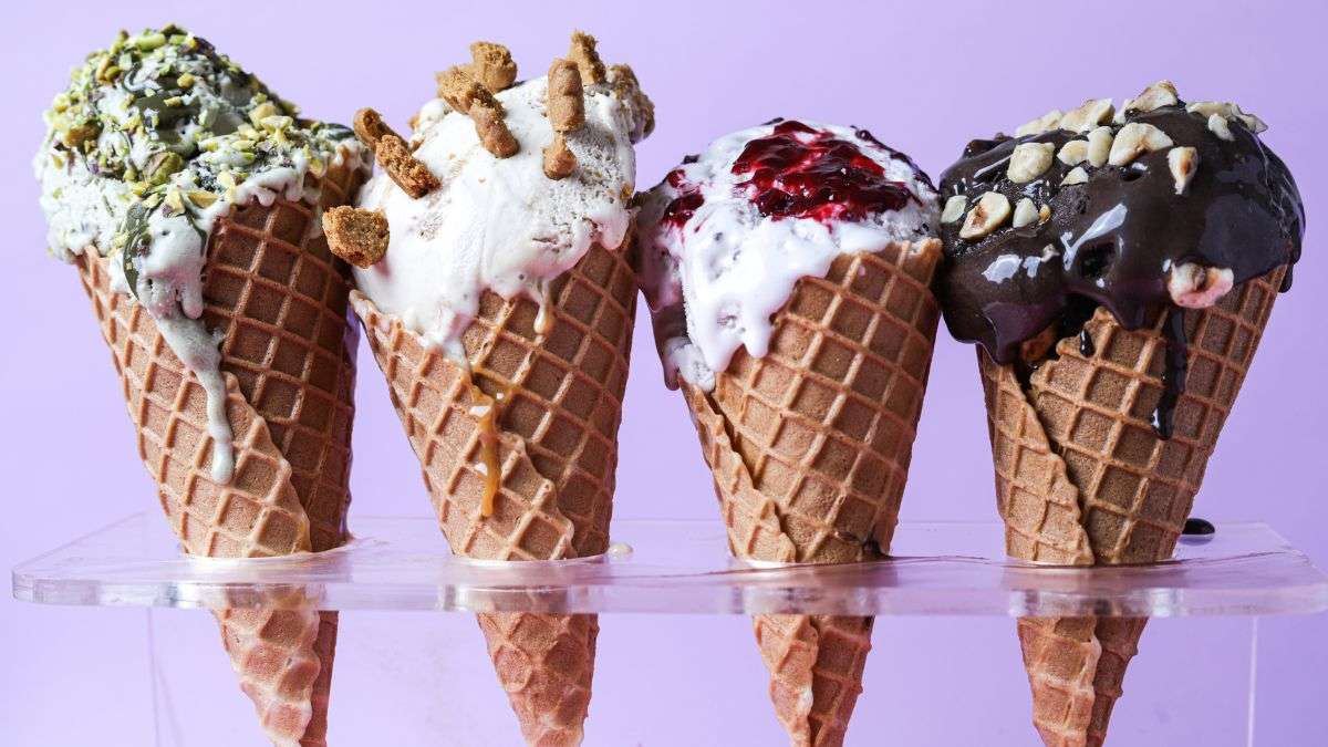 Rebel Creamery files for bankruptcy