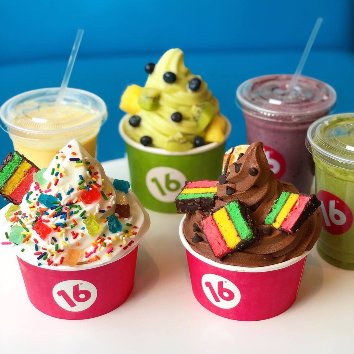 16 Handles Coming to Wellington