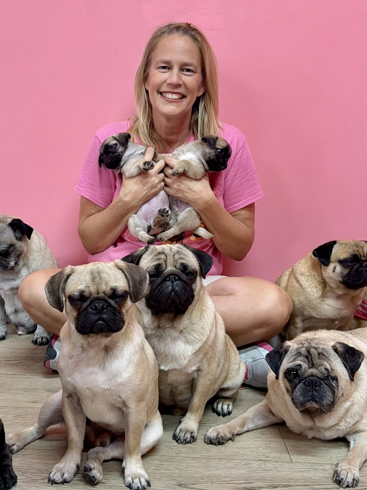 CuppaPug Bringing Pug Cafe Experience to Jacksonville