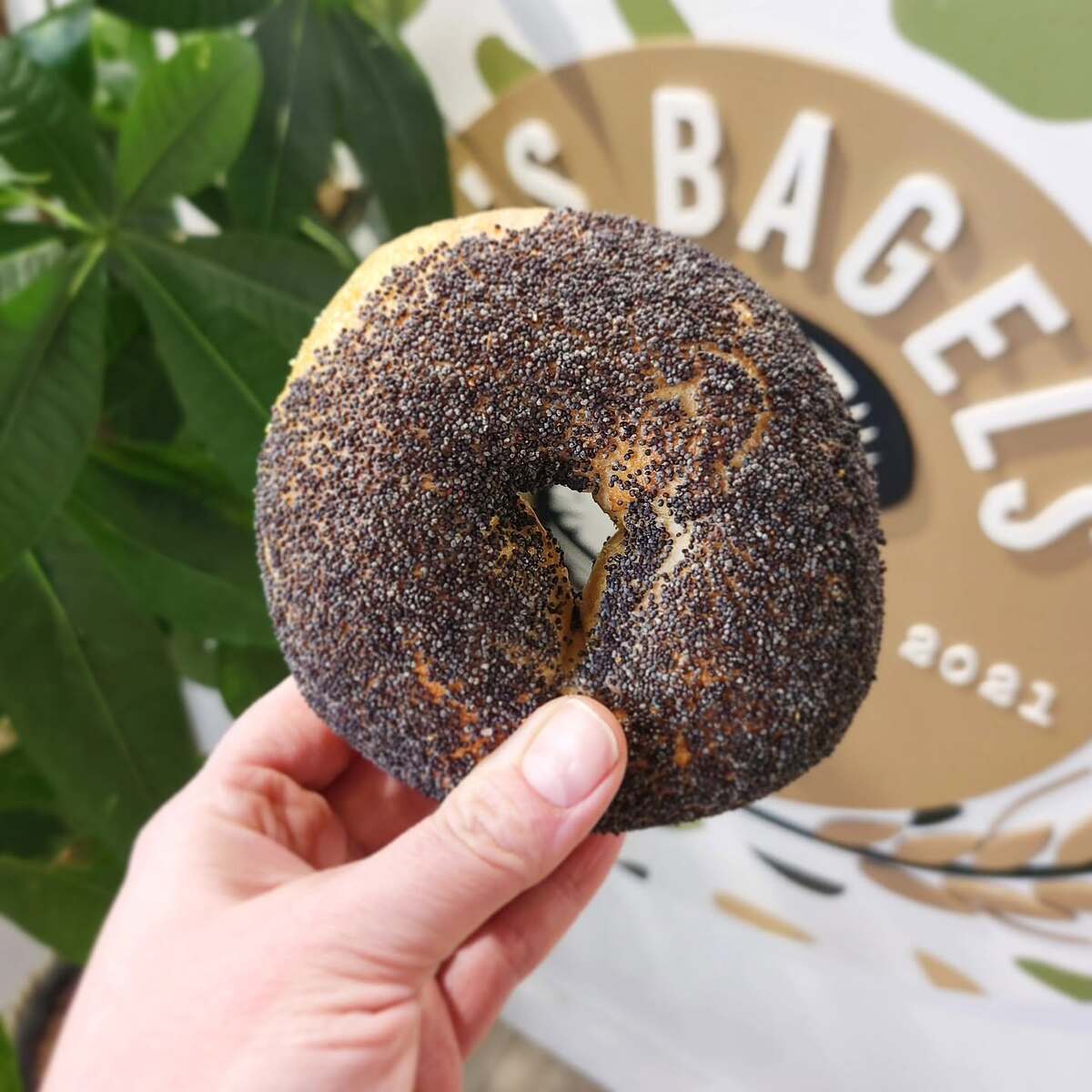 B’s Bagels & Butters Plans Move to Larger Gig Harbor Space