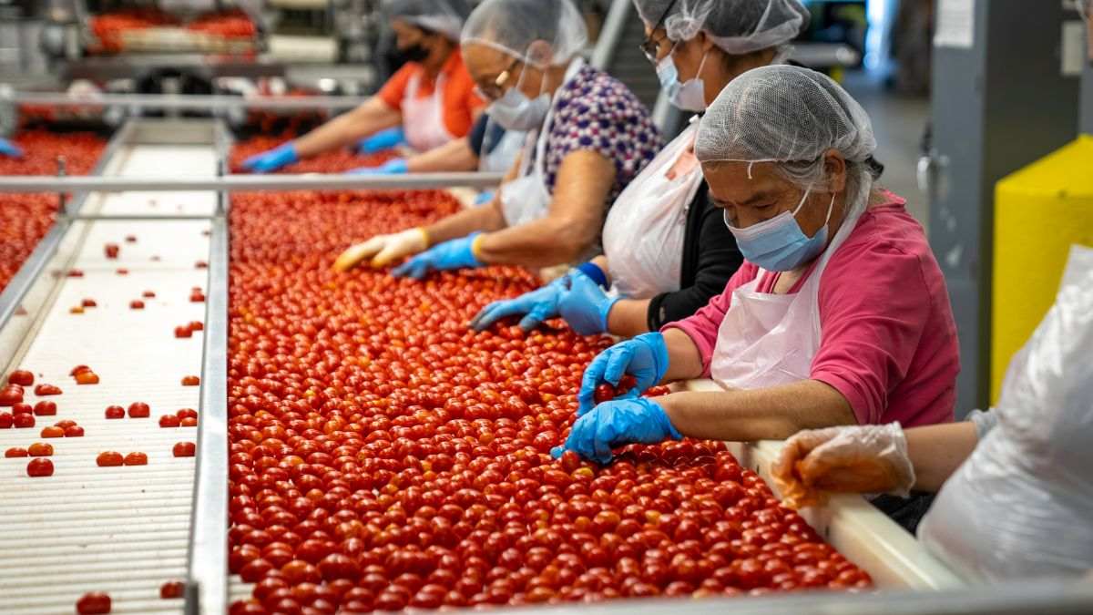 Fresh Venture Foods, LLC files for bankruptcy
