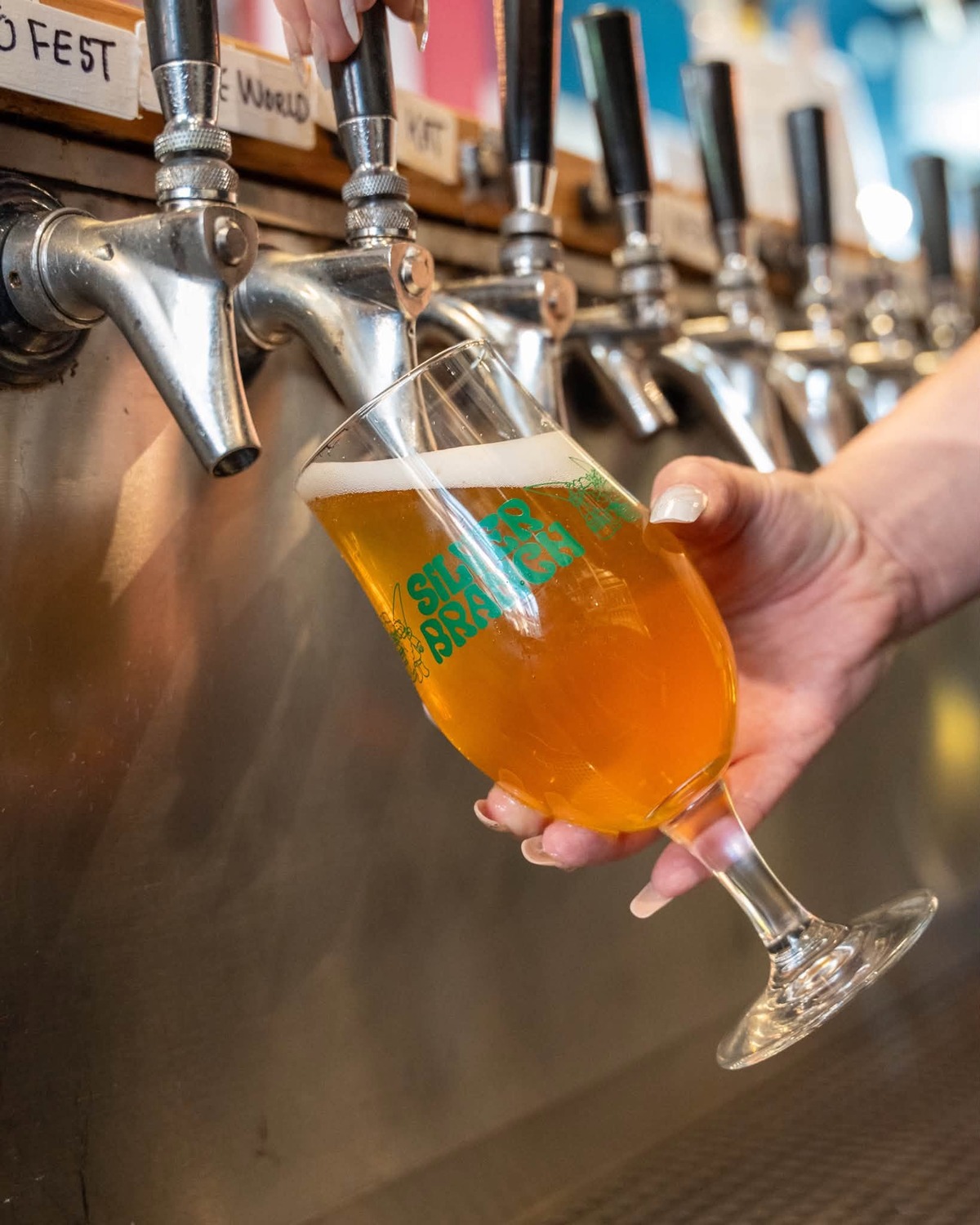 Silver Branch Brewing Company Coming to Wheaton