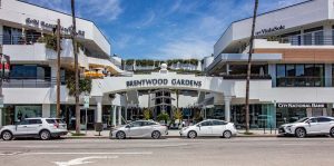 Sacco Getting Ready to Debut in Brentwood