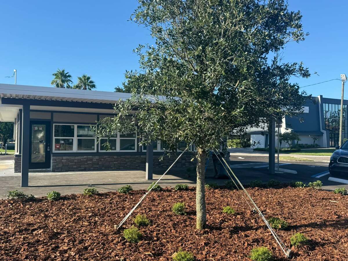 Savory Bliss Kitchen Co. to Open Brick-and-Mortar Restaurant