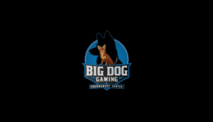 Big Dog Gaming Center to Debut in San Diego