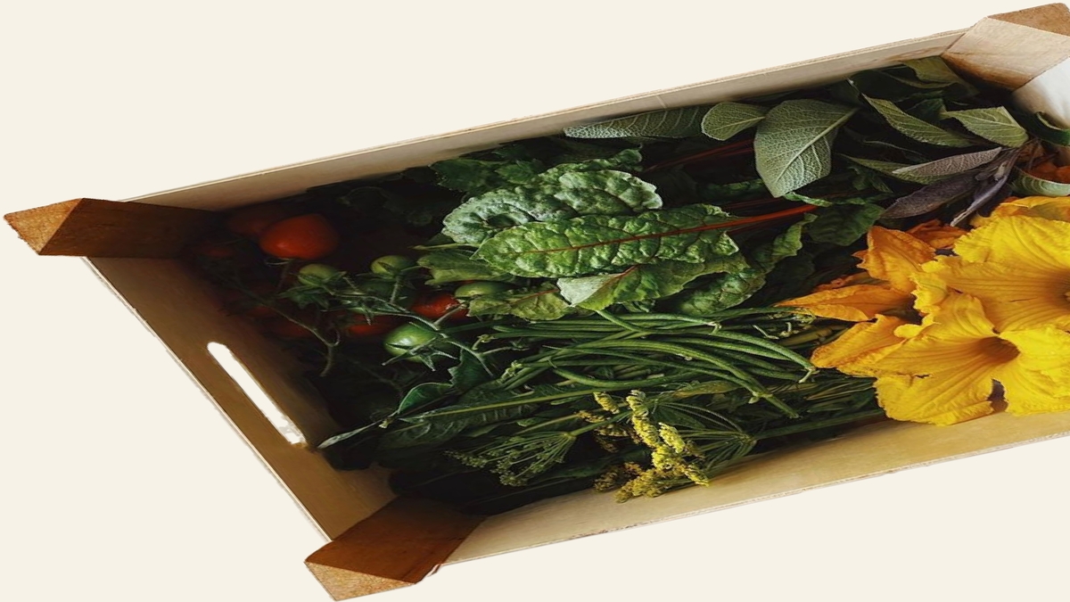 Olive Juice To Open On Divisadero Street