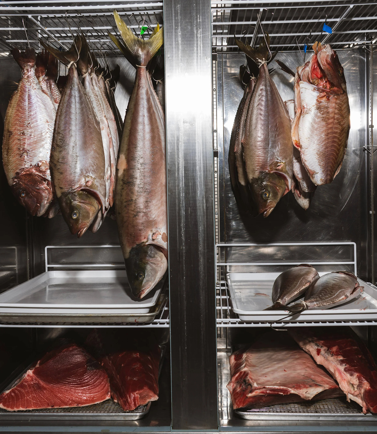 Oroshi Fish Co. to Open Second Toronto Location