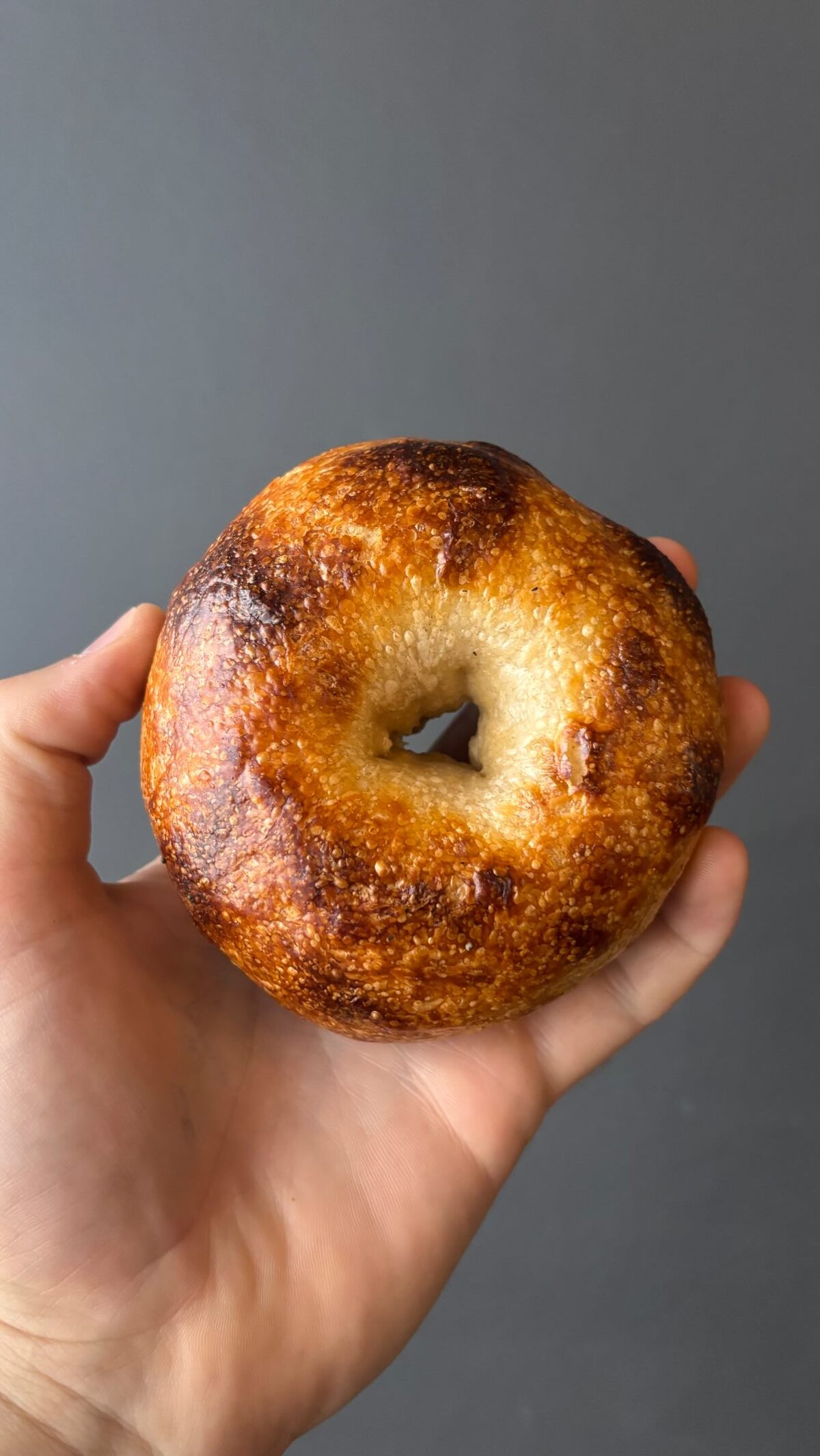 Little Boat Bagels Coming to Magnolia This Fall