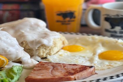Black Bear Diner To Open In Redwood City