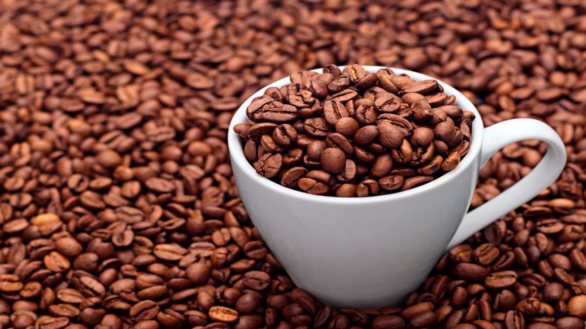 Barista Parlor LLC enters bankruptcy