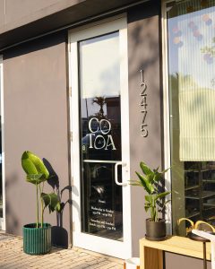 Cotoa to Move to Larger Venue