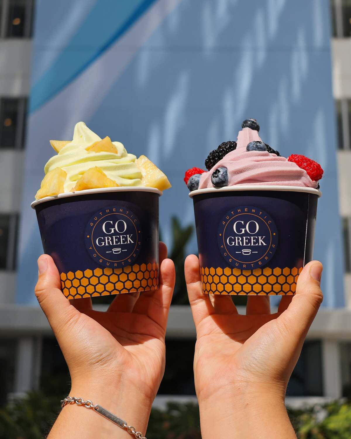 Go Greek Yogurt Heads to Dadeland Mall With Its Greek-Inspired Yogurt Bar