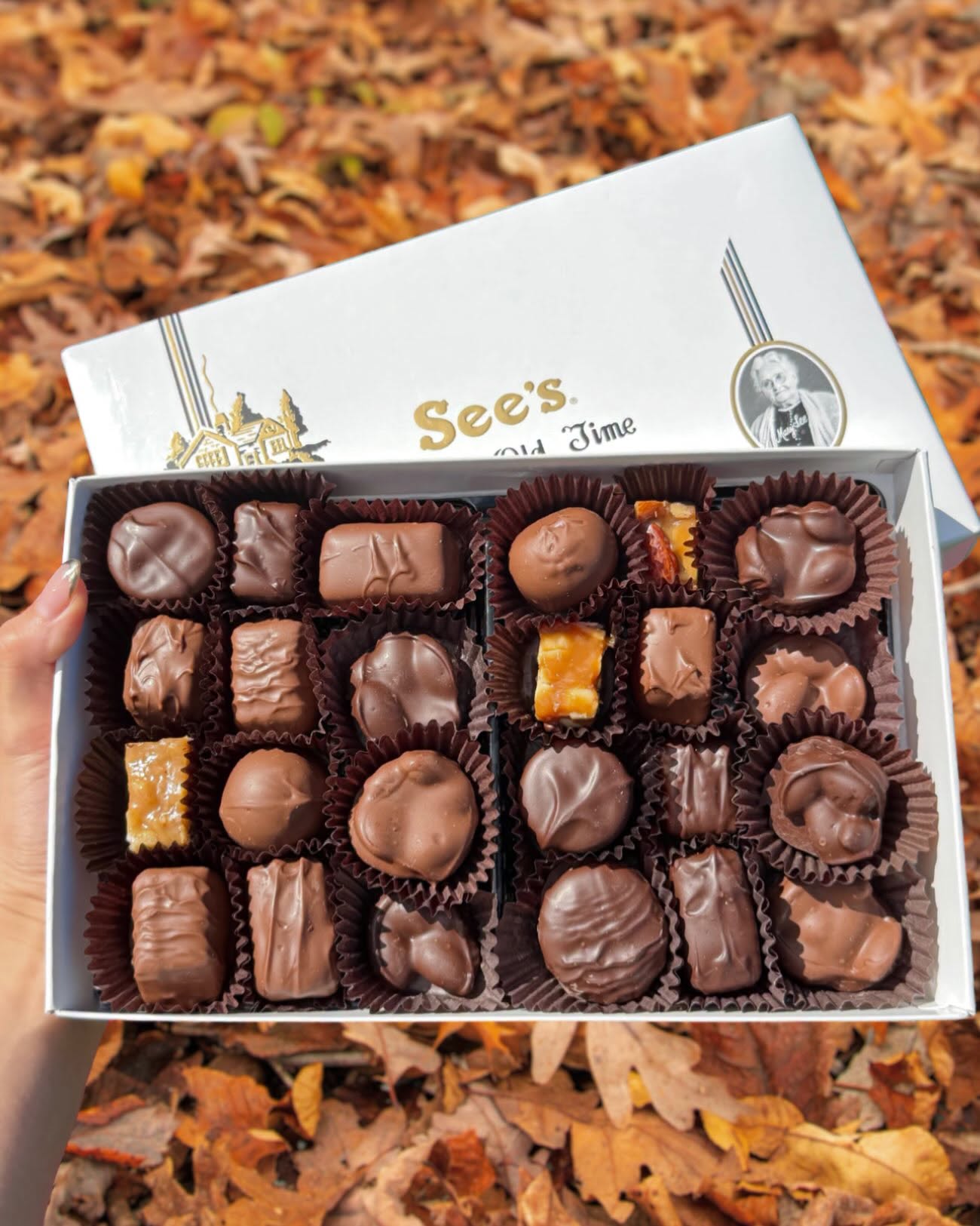 See's Candy to Open in Terminal D of DFW International Airport